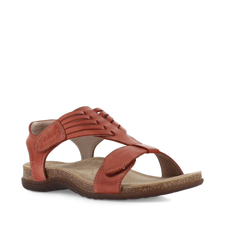 WONDERFUL - BRUSCHETTA LEATHER
