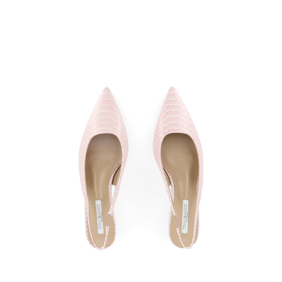 CATIE - PINK PYTHON