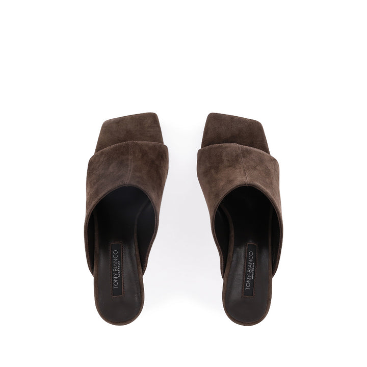RYKER - ESPRESSO SUEDE