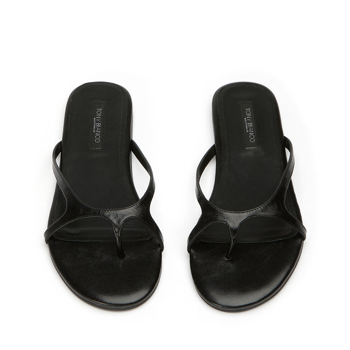 TABBY - BLACK VINTAGE