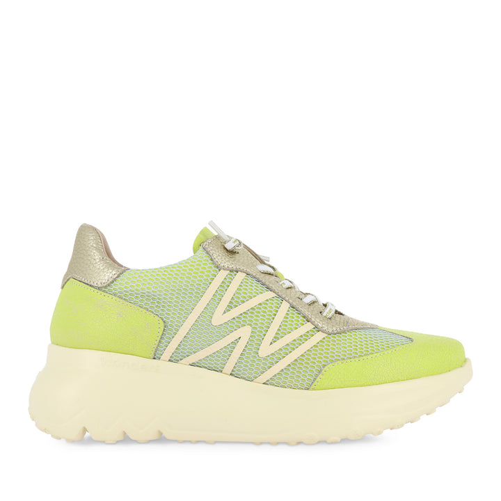 ALICE A-4001 - GREEN MULTI
