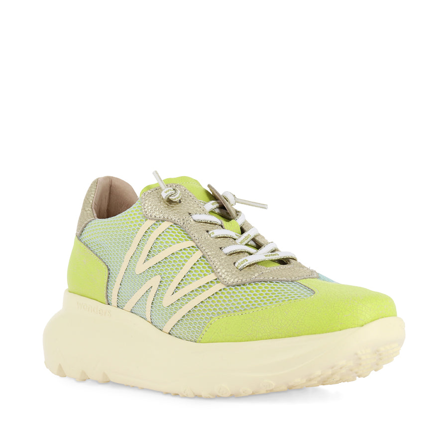 ALICE A-4001 - GREEN MULTI