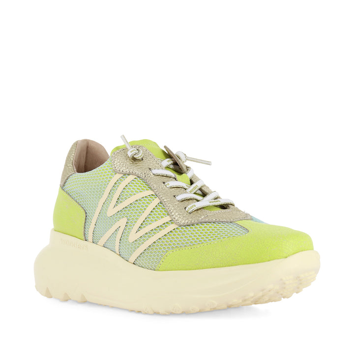 ALICE A-4001 - GREEN MULTI