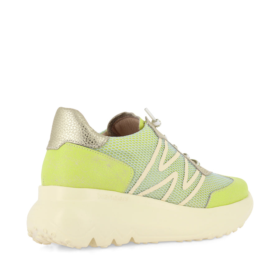 ALICE A-4001 - GREEN MULTI