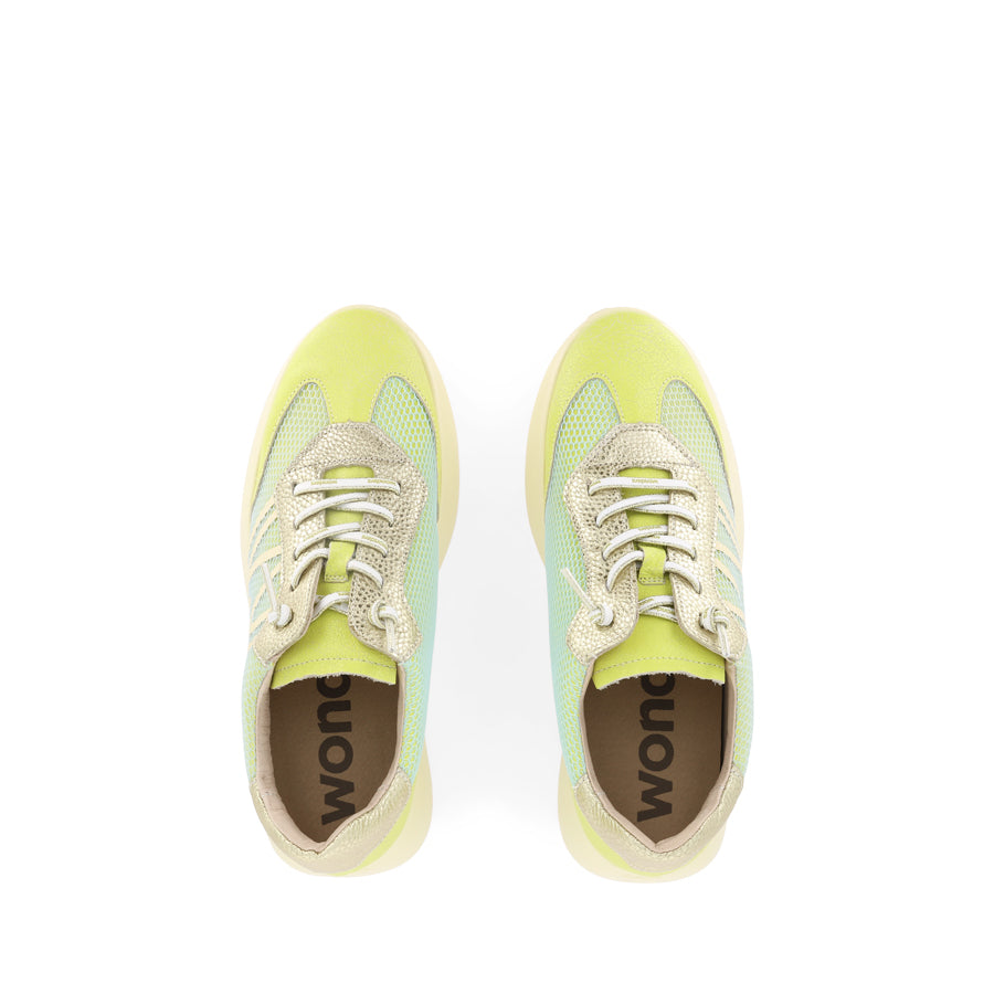 ALICE A-4001 - GREEN MULTI