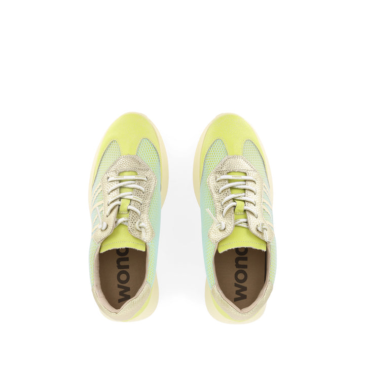 ALICE A-4001 - GREEN MULTI
