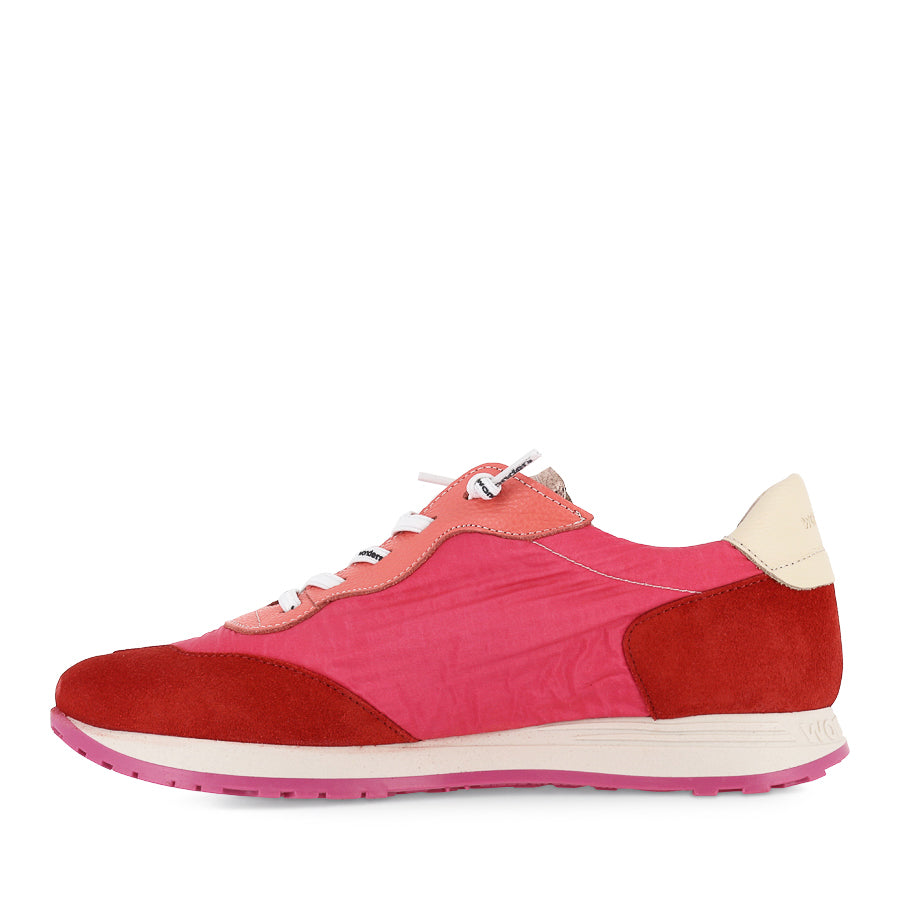 AVANTI A-4802 - FUSCHIA MULTI