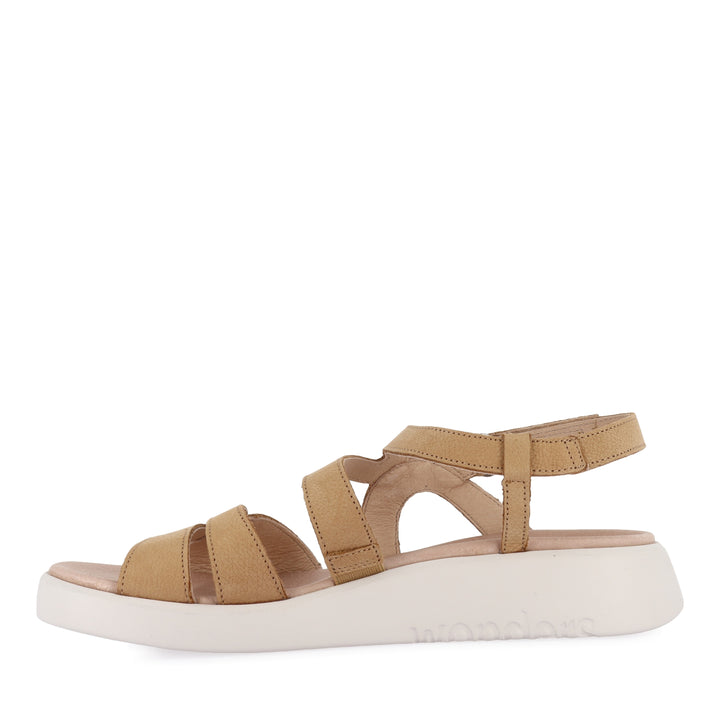 CAYLEE C-6534 - SAND NUBUCK