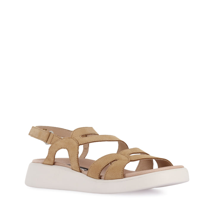 CAYLEE C-6534 - SAND NUBUCK