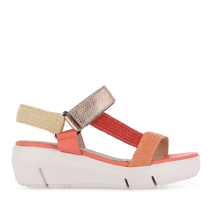 DUNE D-8290 - CORAL MULTI