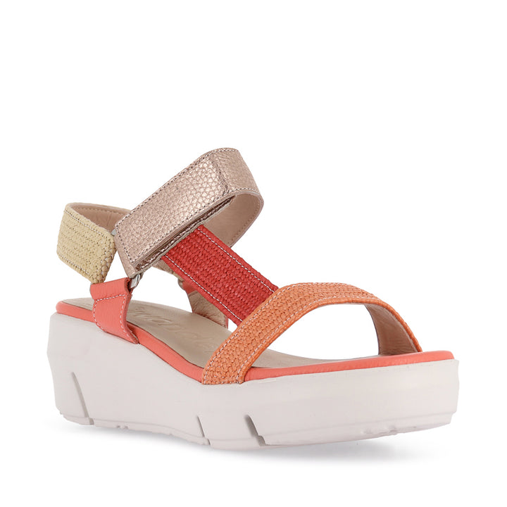 DUNE D-8290 - CORAL MULTI