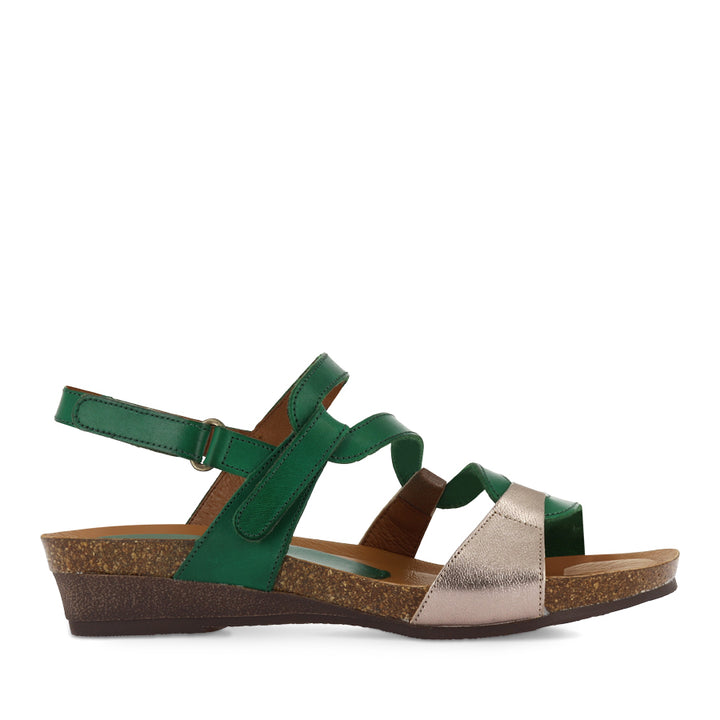 OSINA - CHAMPAGNE/GREEN MULTI