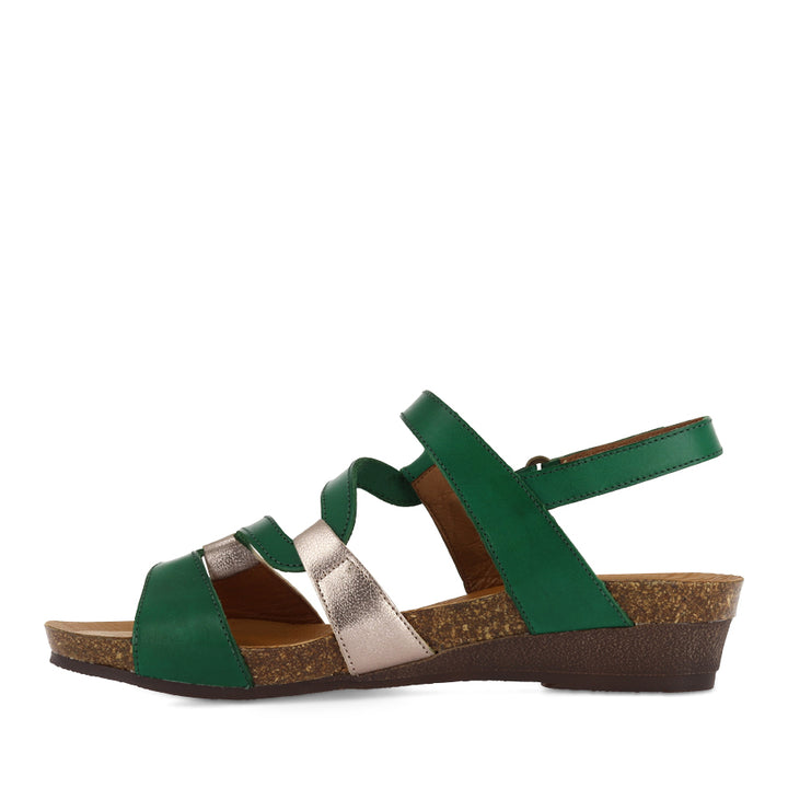 OSINA - CHAMPAGNE/GREEN MULTI