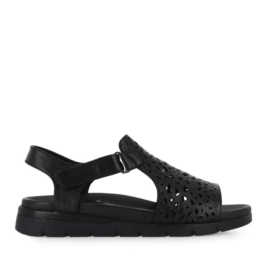 ASCOTCH XW - BLACK BLACK LEATHER