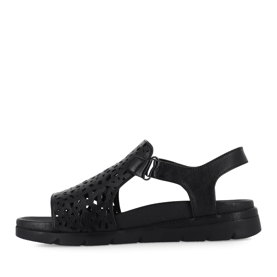 ASCOTCH XW - BLACK BLACK LEATHER