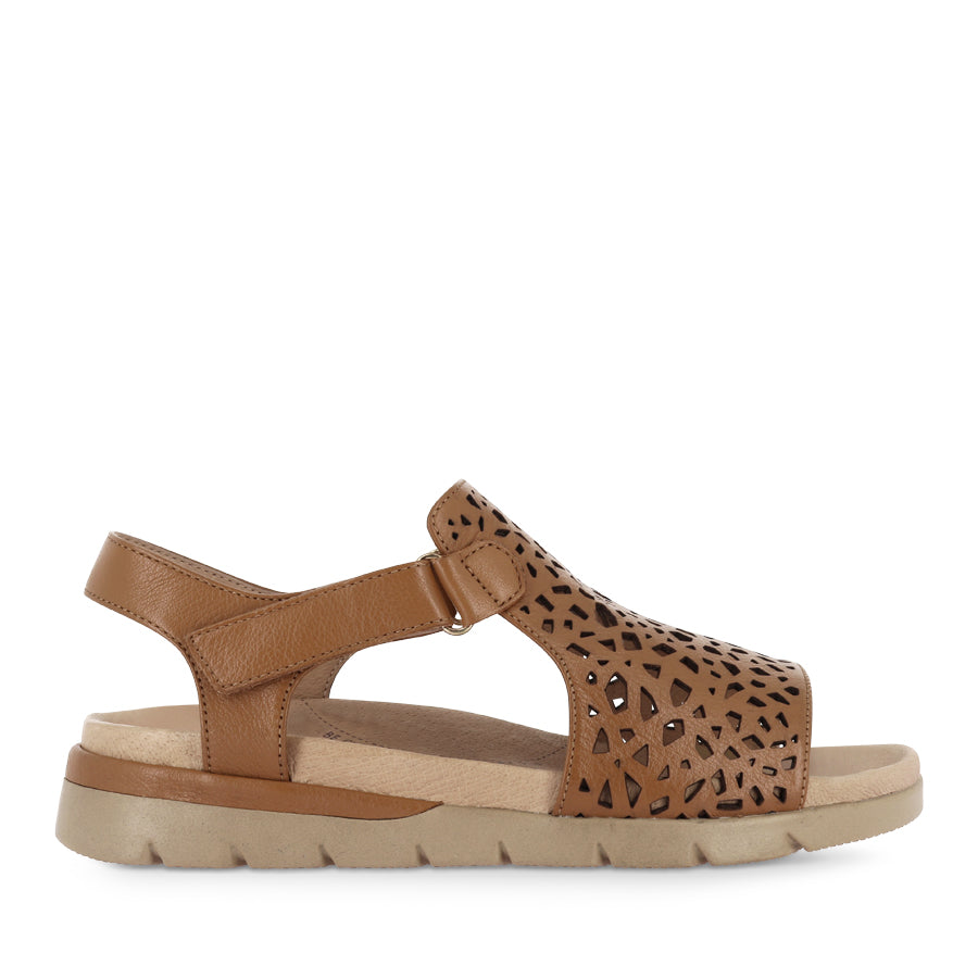 ASCOTCH XW - DARK TAN CAMEL LEATHER