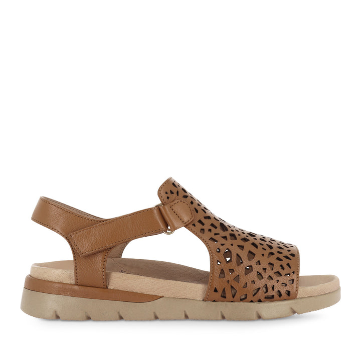 ASCOTCH XW - DARK TAN CAMEL LEATHER