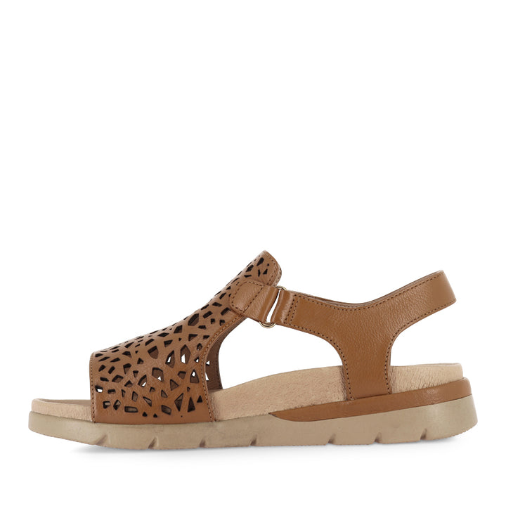 ASCOTCH XW - DARK TAN CAMEL LEATHER