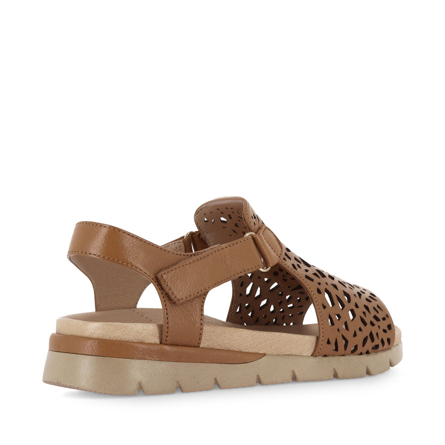 ASCOTCH XW - DARK TAN CAMEL LEATHER