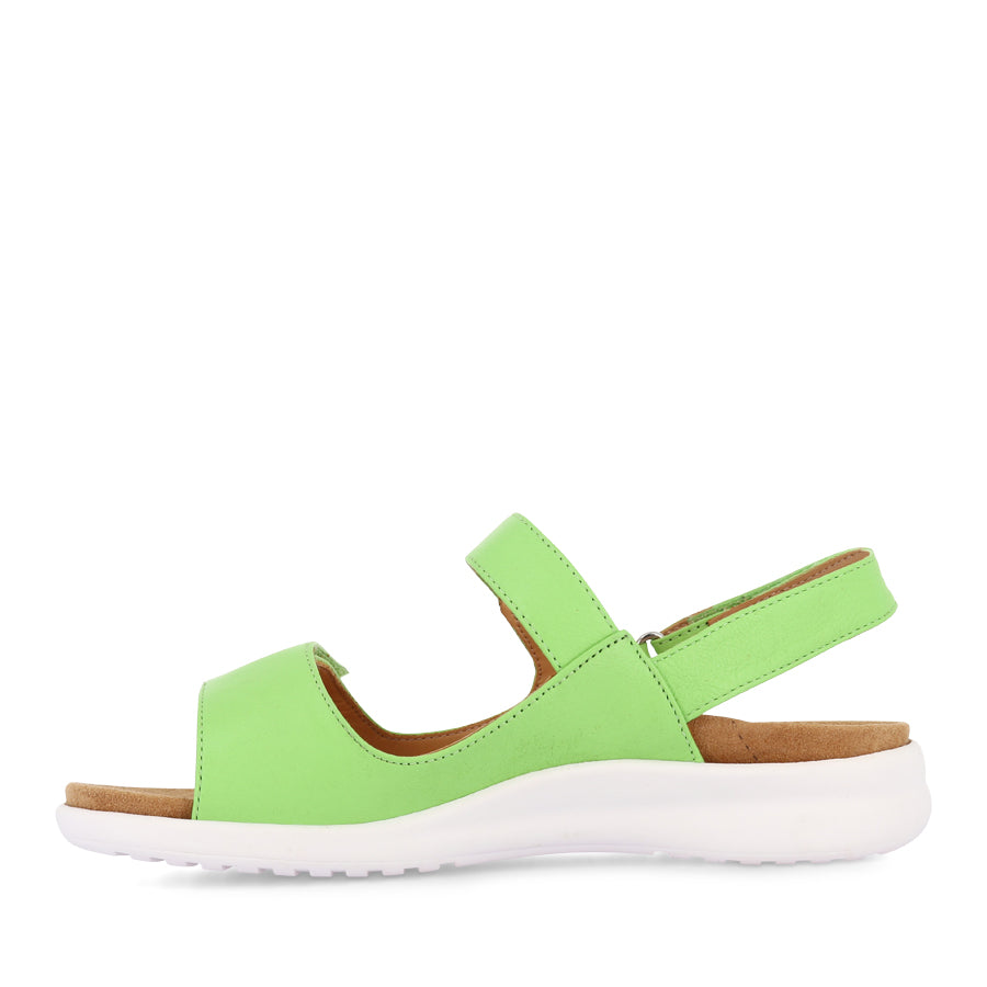 BENJI XW - LIGHT LIME LEATHER WHITE SOLE