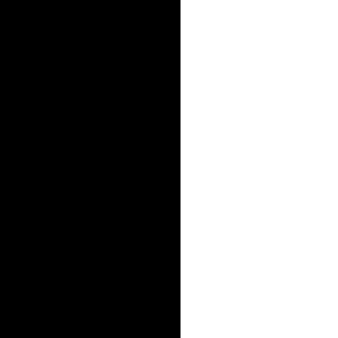 Black/White Leather