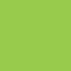 Lime Multi Suede