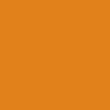 Orange Leather