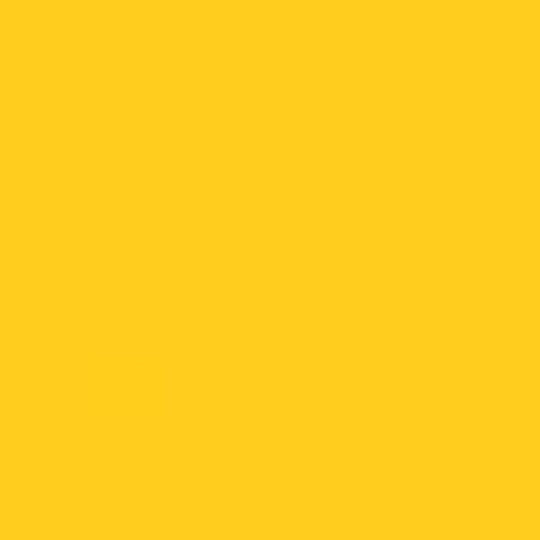 Sunshine Splash Leather