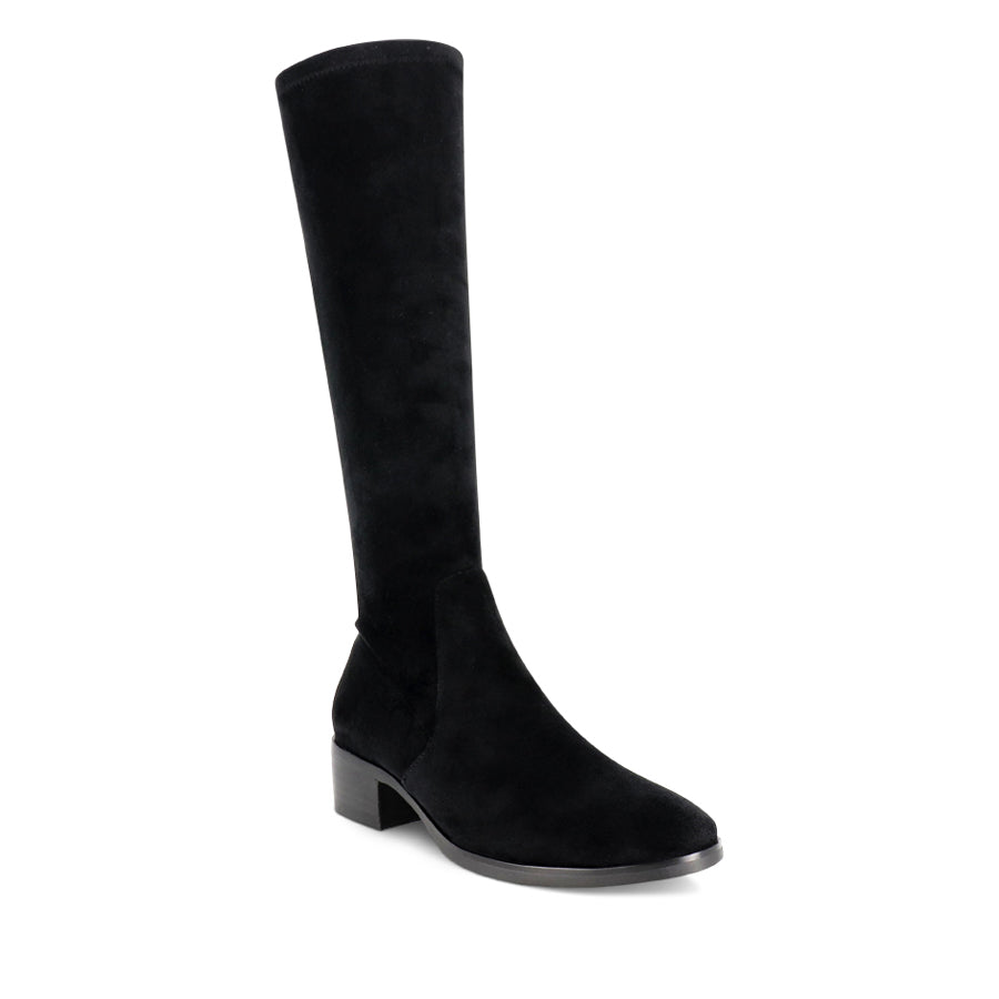 TIMOTHIE - BLACK STRETCH MICROSUEDE