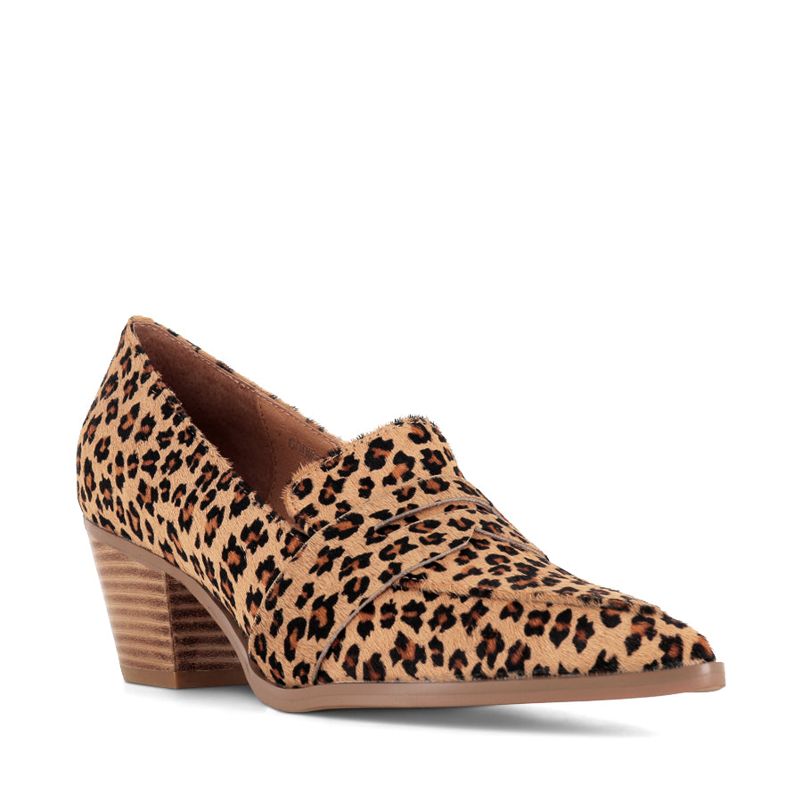 GODWIN - CAMEL LEOPARD/PONY