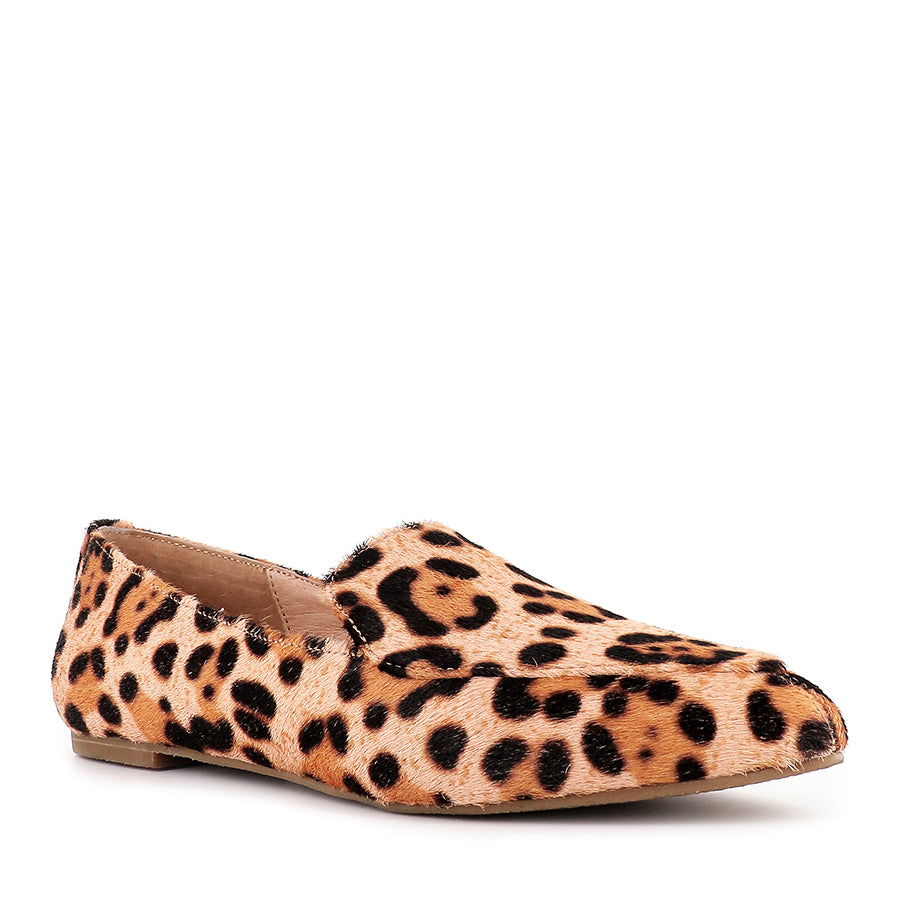 MARCO - LARGE BLUSH LEOPARD