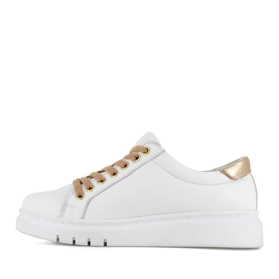 TATTER FRESH - WHITE/GOLD LEATHER