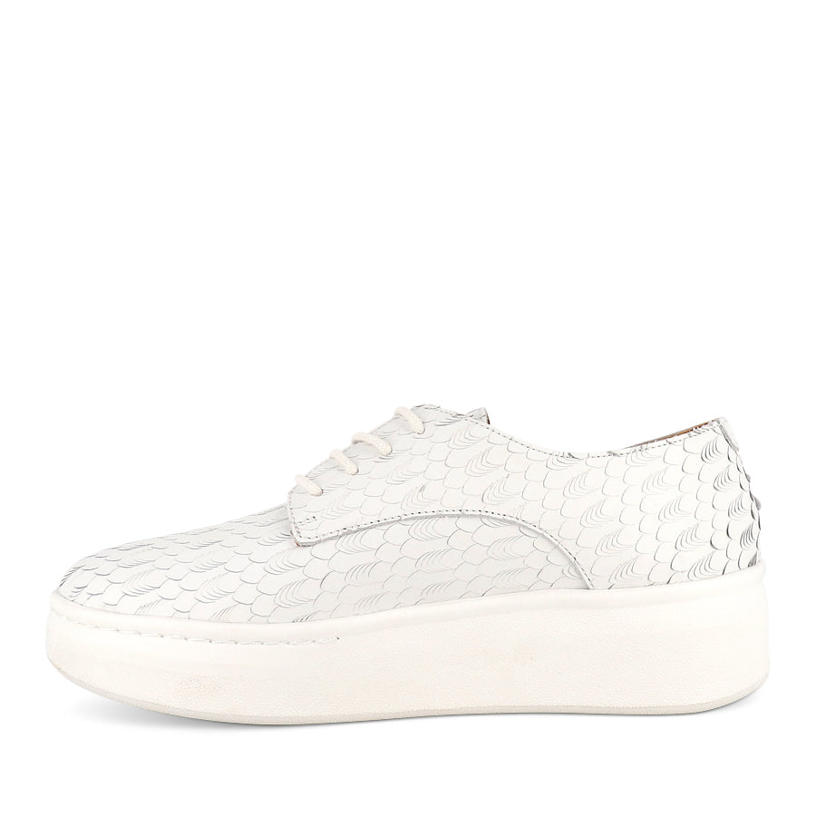 DERBY CITY LACEUP - WHITE GEO LEATHER