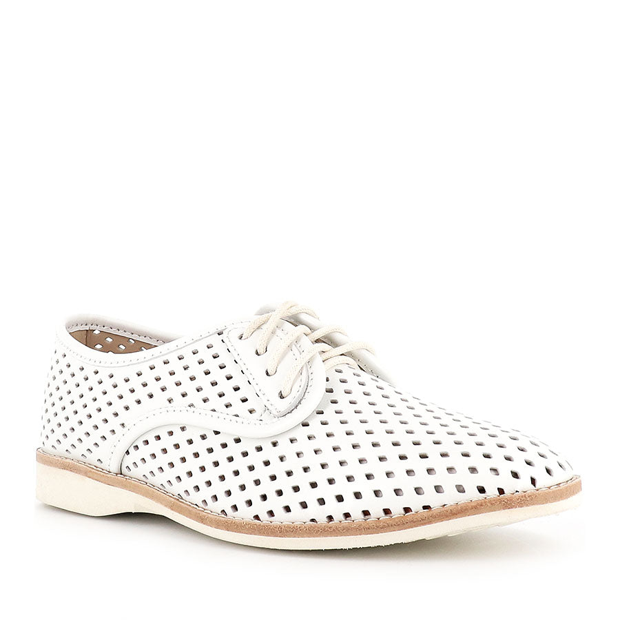 DERBY PUNCH - WHITE LEATHER