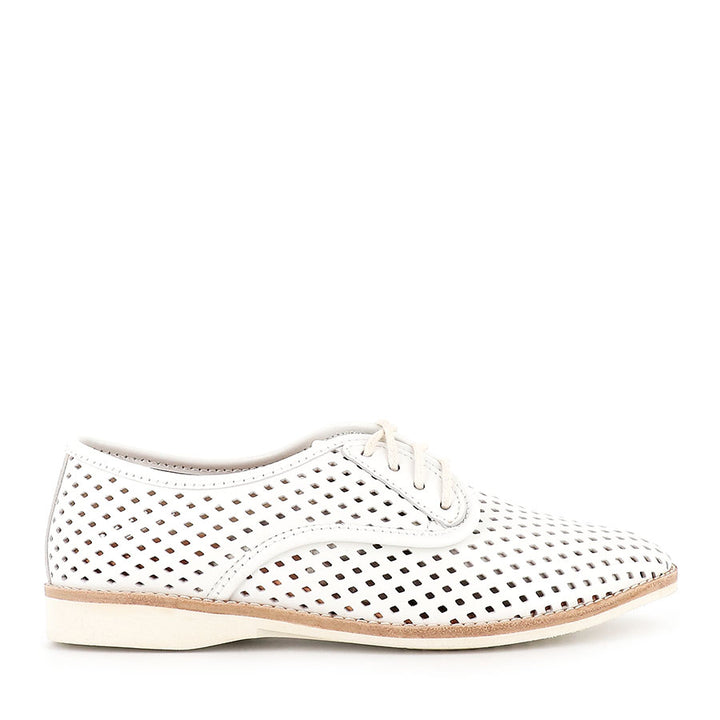 DERBY PUNCH - WHITE LEATHER