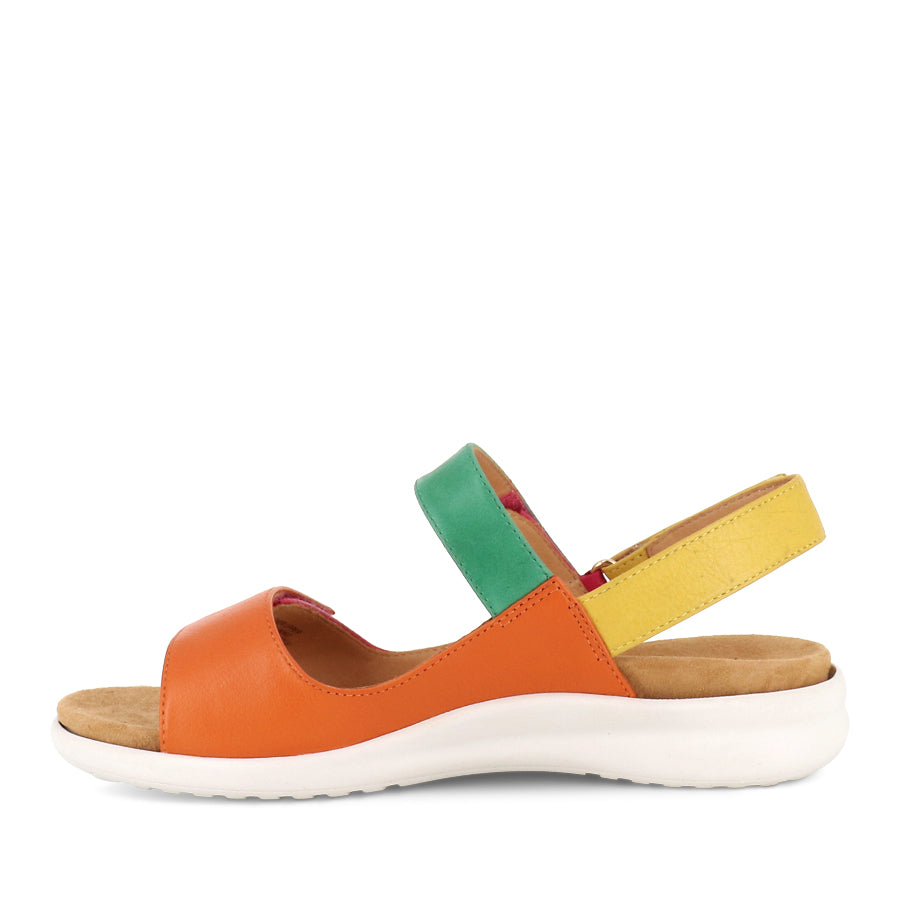 BENJI XW - BRIGHT MULTI LEATHER